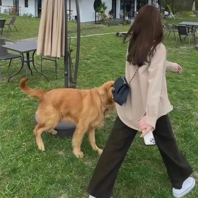 芭芭·雅嘎